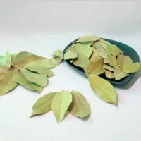 bay-leaves-1-300x300