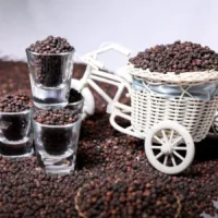 black-pepper-1-300x300