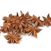 star-anise-1-300x300