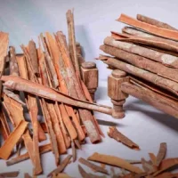 wild-cinnamon-1-300x300